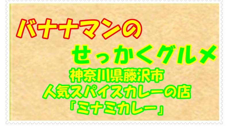 バナナマンのせっかくグルメ神奈川県藤沢市の人気スパイスカレーの店「ミナミカレー」