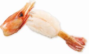 ジョブチューンくら寿司「ぼたん海老」